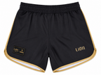 Patrick Gaudio x Brave Shorts